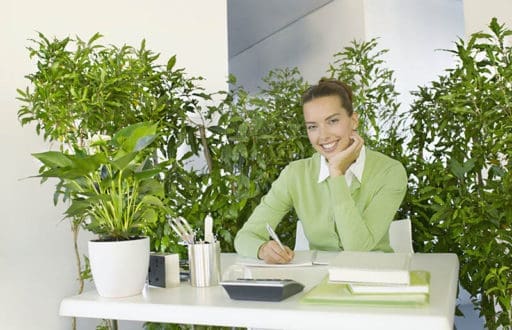 7 tips som gör ditt företag lite grönare