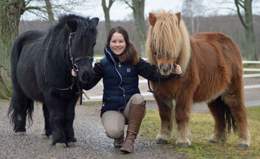 Björkviks ponnyridskola – Min dag i bilder