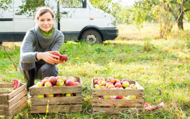 ”Småföretag kan rädda landsbygden”