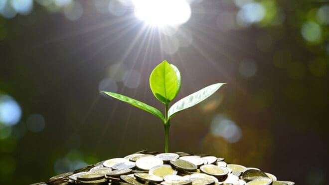 Så kan Almi finansiera ditt företag – från tuffa tider till hållbar lönsamhet