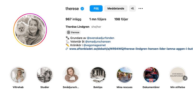 Therese – Hur mycket tjänar svenska influencers?