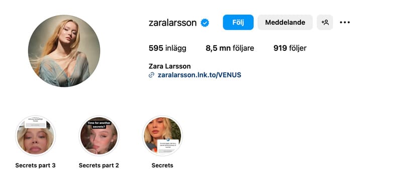 Zara Larsson – Hur mycket tjänar svenska influencers?